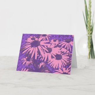 Pink Aster Blank Greeting Card