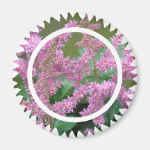 Pink Astilbe Flowers Round Magnet