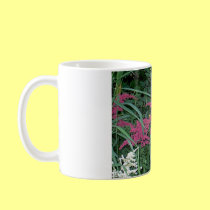 Pink Astilbe in Old Orchard Beach, Maine mugs