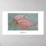 Pink Autumn Leaves Print Pink Autumn Leaves Print