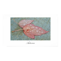 Pink Autumn Leaves posters