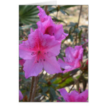Pink Azaela Card