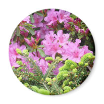PINK AZALEA 30 FLOWERS Pine Cards Gifts Mugs Refrigerator Magnet