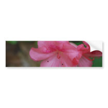 Pink Azalea Bumper Sticker