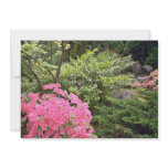 Pink Azalea Bush Amid Shrubs flowers Custom Invites