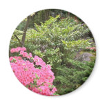 Pink Azalea Bush Amid Shrubs flowers magnets