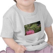 Pink Azalea Bush Amid Shrubs flowers Tee Shirt