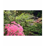 Pink Azalea Bush Amid Shrubs flowers t-shirts