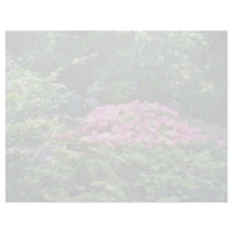 Pink Azalea Bush flowers Custom Letterhead