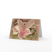 Pink Azalea Cards