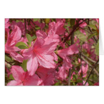 Pink Azalea Card