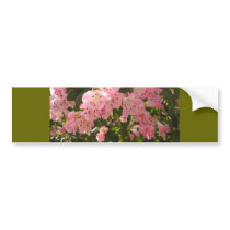 Pink Azalea Flowera Bumper Stickers