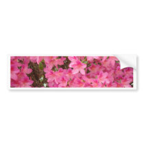 PINK AZALEA FLOWERS 27 Azaleas Cards Gifts Mugs bumper stickers by Basleeartprintgifts PINK AZALEA FLOWERS 27 Azaleas Cards Gifts Mugs bumper stickers
