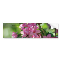 Pink azalea flowers and meaning bumper sticker