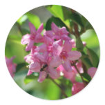 Pink azalea flowers and meaning round sticker