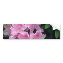 Pink Azalea flowers Bumper Sticker