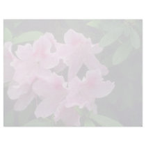 Pink Azalea flowers Custom Letterhead