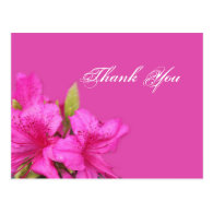 Pink azalea flowers thank you postcards post card