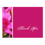 Pink azalea flowers thank you postcards postcards