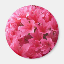 Pink Azalea Fridge Magnets