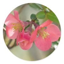 Pink Azalea Glow Apparel Gifts Collectibles Round Stickers