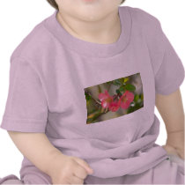 Pink Azalea Glow Apparel Gifts Collectibles Tee Shirts