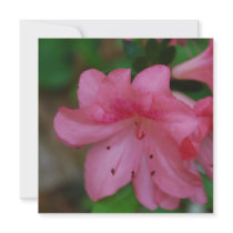 Pink Azalea Invitations