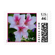 Pink Azalea Love Postage postage by dlgray Pink Azalea Love Postage postage