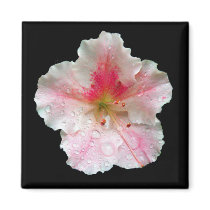 'Pink Azalea Macro' Fridge Magnet
