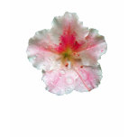 'Pink Azalea Macro' t-shirts
