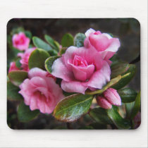 Pink Azalea mousepads