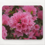 flower, azalea, pink, cluster, mouse, pad,