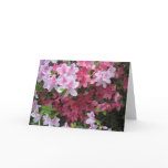 Pink Azalea NoteCard Pink Azalea NoteCard