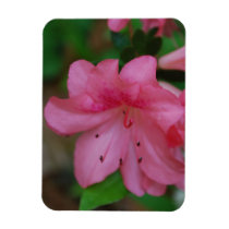 Pink Azalea Premium Magnet