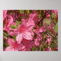 Pink Azalea Print