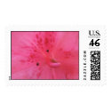 Pink Azalea Stamp by MidnightAkita Pink Azalea Stamp