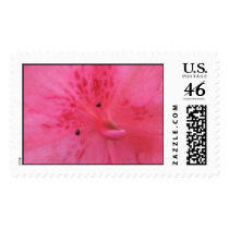 Pink Azalea Stamp