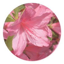 Pink Azalea Round Stickers