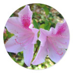 pink azalea sticker 1