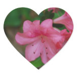 Pink Azalea Stickers