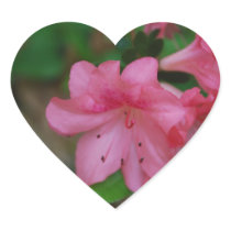 Pink Azalea Stickers
