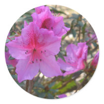 Pink Azalea Stickers