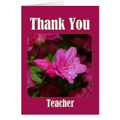 Pink Azalea Teacher Thank You With Text Card 