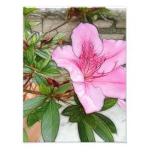 Pink Azaleas 1 Enhanced Photographic Print