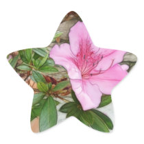 Pink Azaleas 1 Enhanced Stickers