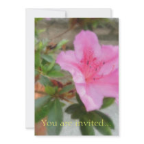 Pink Azaleas 1 Custom Announcements