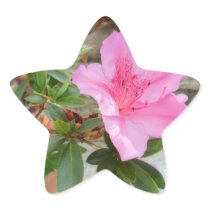 Pink Azaleas 1 Photo Star Stickers