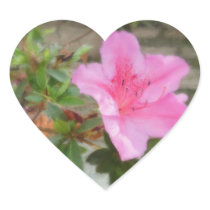 Pink Azaleas 1 Stickers