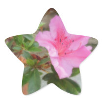 Pink Azaleas 1 Star Sticker