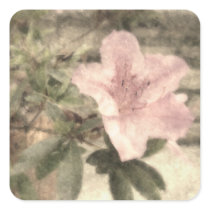 Pink Azaleas 1 Vintage Square Sticker